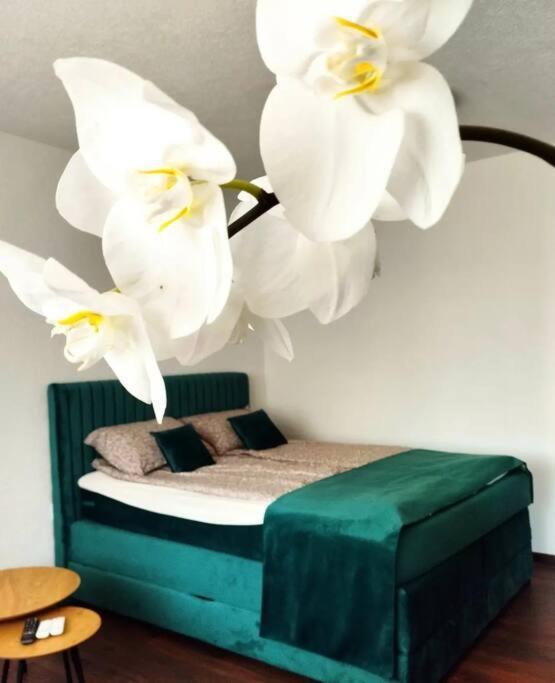 Zeid City Center Apartment 사라예보 외부 사진