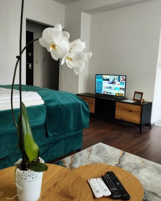 Zeid City Center Apartment 사라예보 외부 사진